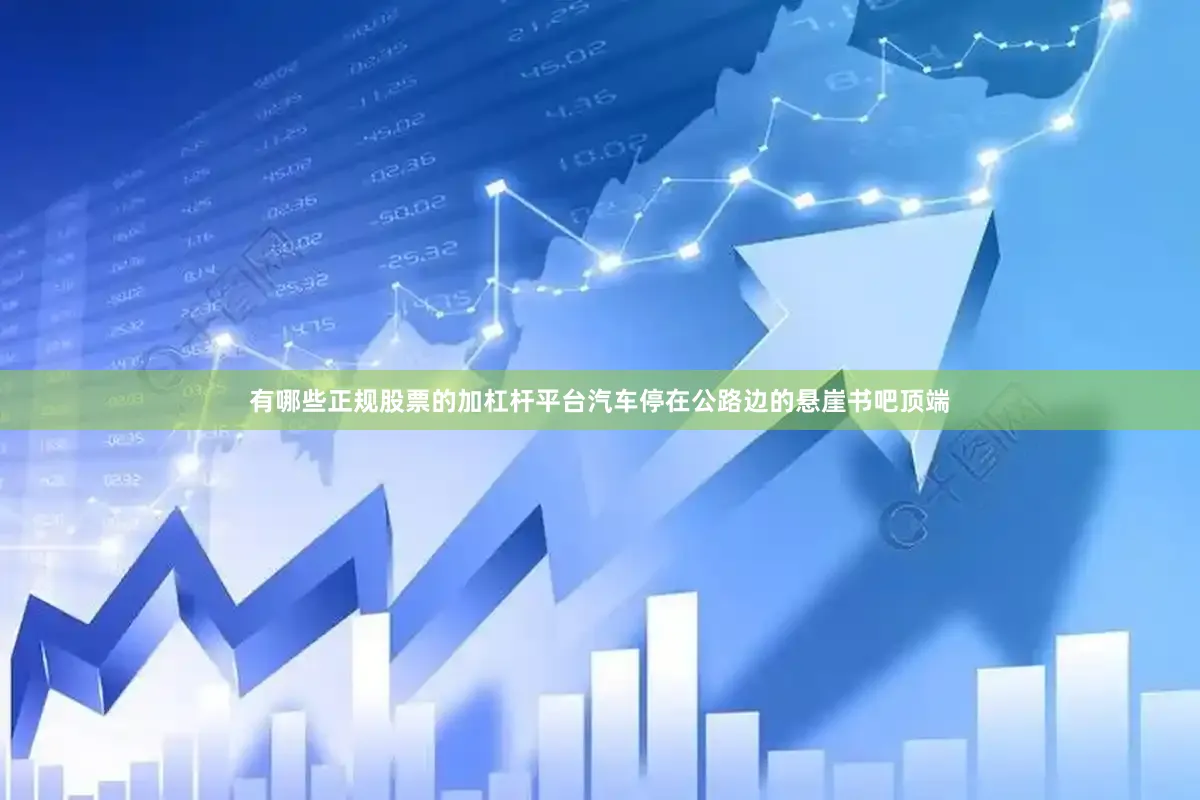 有哪些正规股票的加杠杆平台汽车停在公路边的悬崖书吧顶端